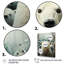 Parade arctique des ours polaires II - ours, art mural-1639697322-1673125040