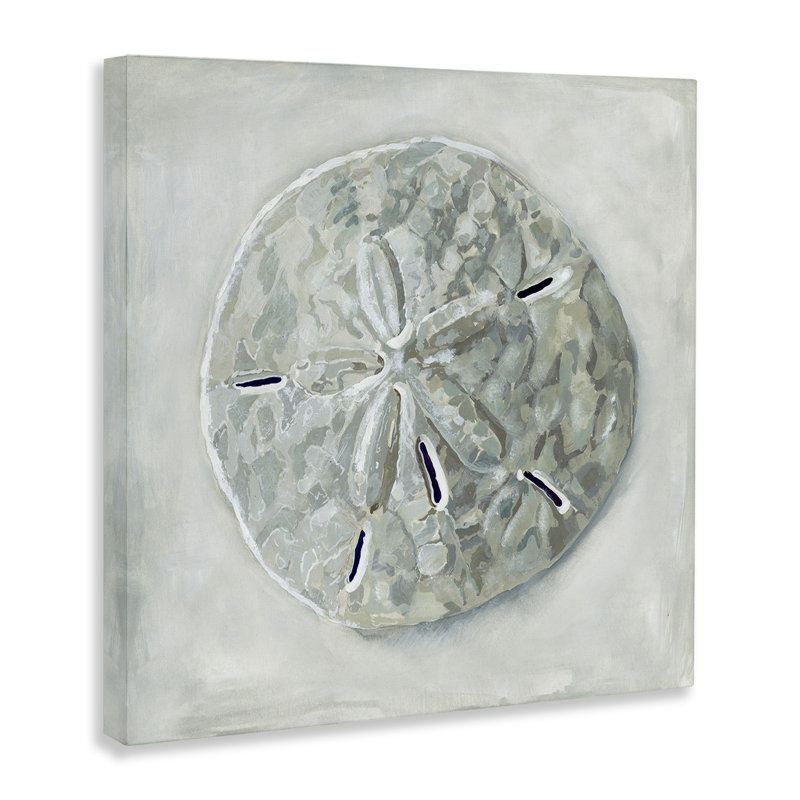 «Sand Dollar Seashell» par Erica Christopher - peinture sur toile tendue, H 24 po x l 24 po x P 1,5 po