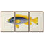 Collection de poissons tropicaux V 3 pièces-2109441675-2109441398