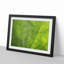 Veins of a Leaf - Picture Frame Photograph Print-55763920-55763921