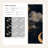 Celestial Wallpaper Surreal Removable Mystical Wall Double Roll
