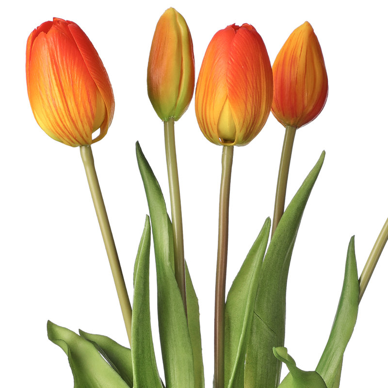Tige de tulipe douce au toucher, Orange