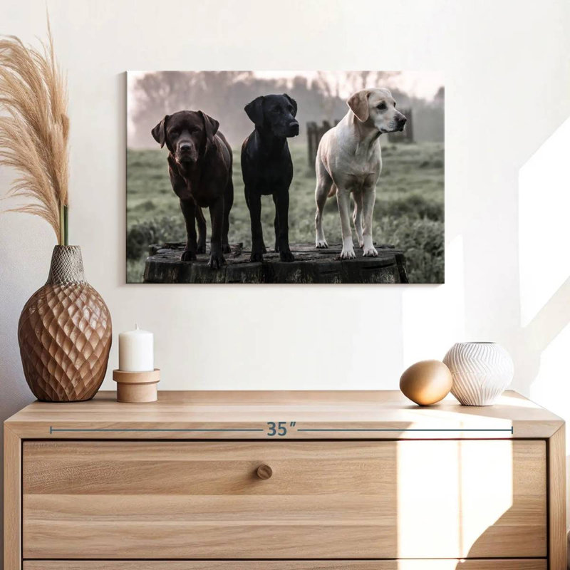 Brampt Labrador Dogs, 16" H x 24" W