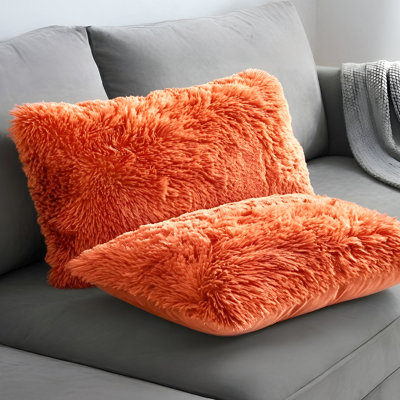 Coussins décoratifs Cheer