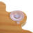 Cat Scratch Toy