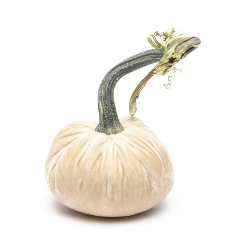 Cream Silk Velvet Pumpkin, 4" H x 2.5" W x 2.5" D