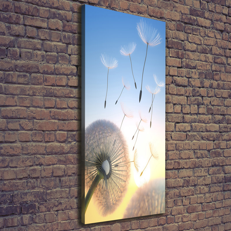 Dandelion - Wrapped Canvas Print