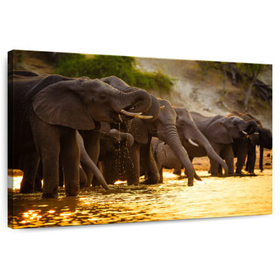 Éléphants dans la savane