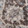 Oriental Indoor Rug