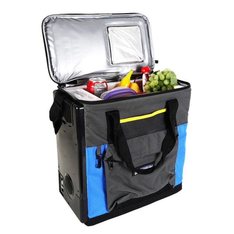 Michelin Portable 12V Cool Bag Box 14L Cooler Warmer Lunch Camping Car Fridge