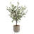Uttermost Solea Olive Accent & Textured Vase