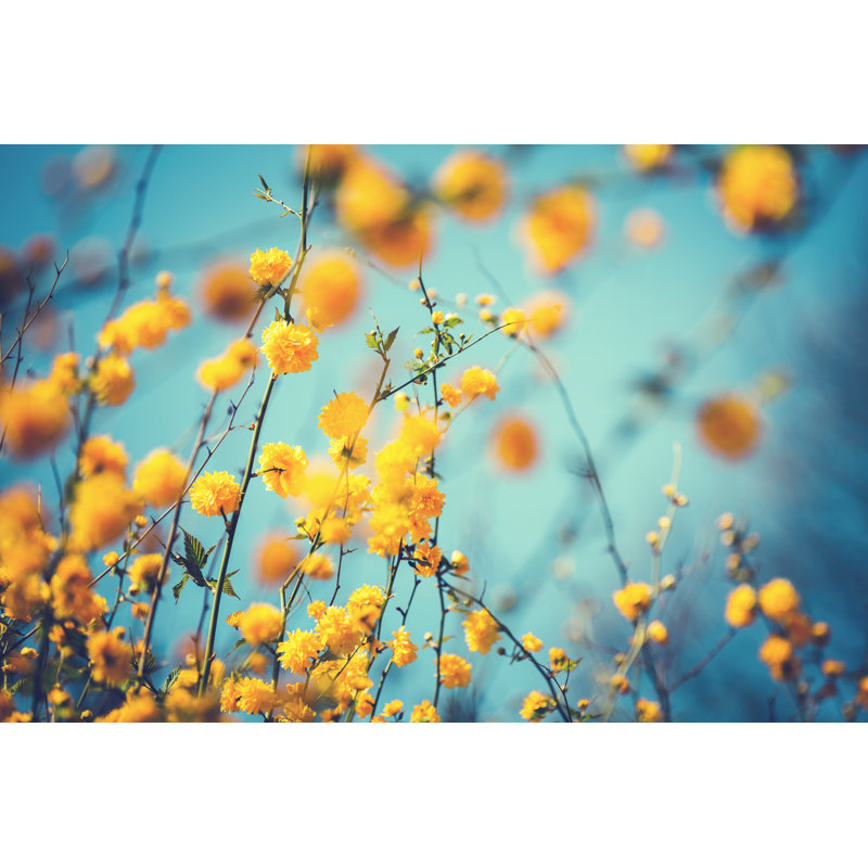 Spring Flowers by Borut Trdina - No Frame Art Prints on Canvas, 20cm H x 30cm W