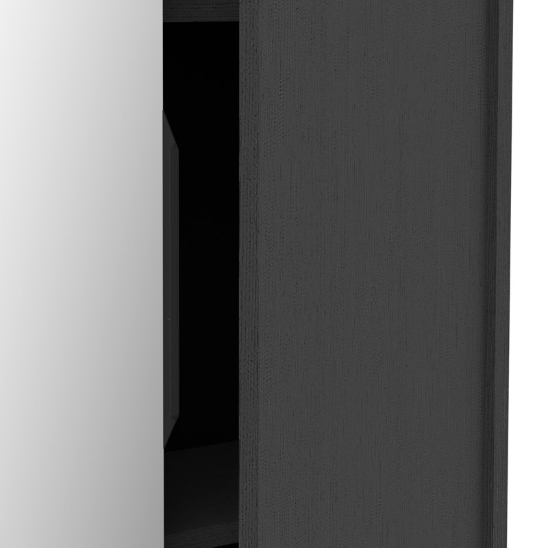 Carolinda 2 Door Large Tall Freestanding Mirrored Shoe Storage Cabinet, Black