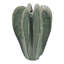 D11,6 x 15,7 po Sculpture Cactus