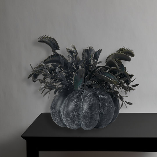 Arrangement in Pot