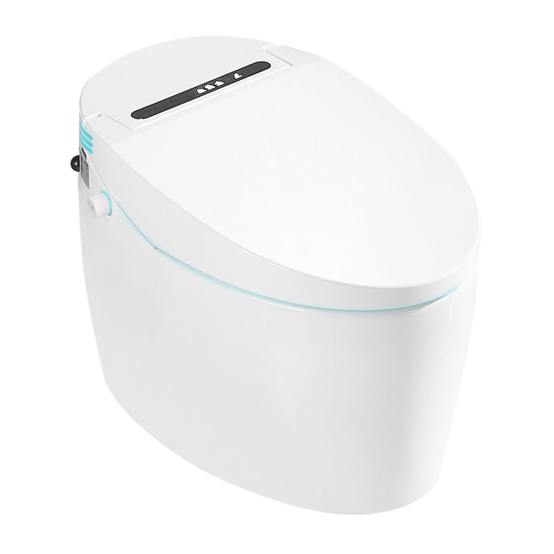 VIBRANTBATH GPF Elongated Bidet Toilet (Seat Included)