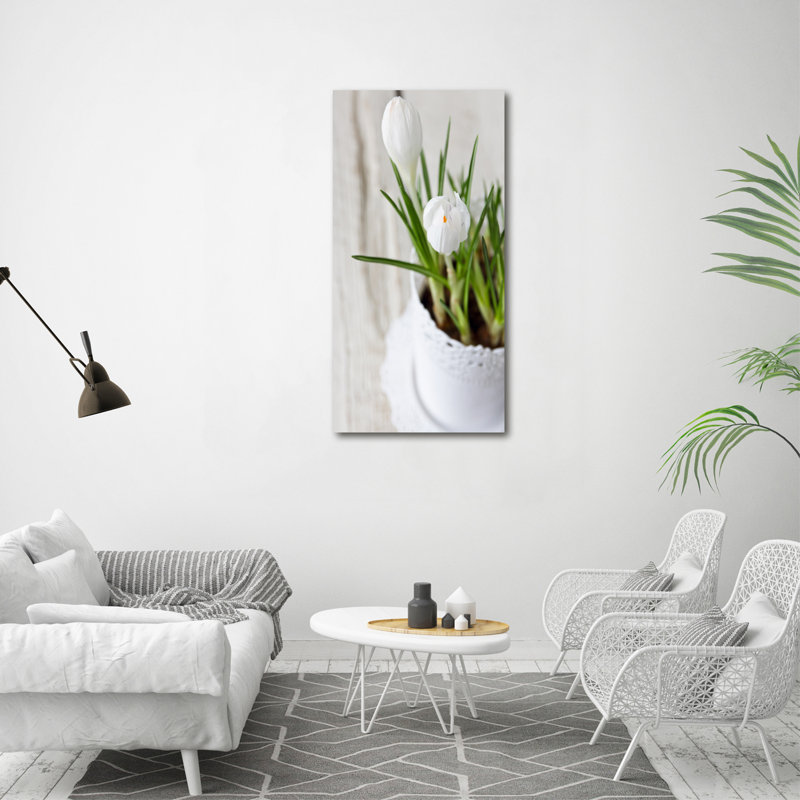 White Crocuses - Wrapped Canvas Print