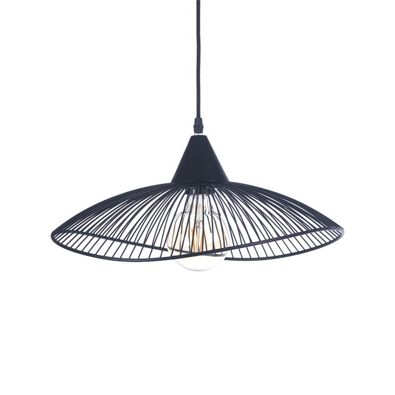 - Light Pendant