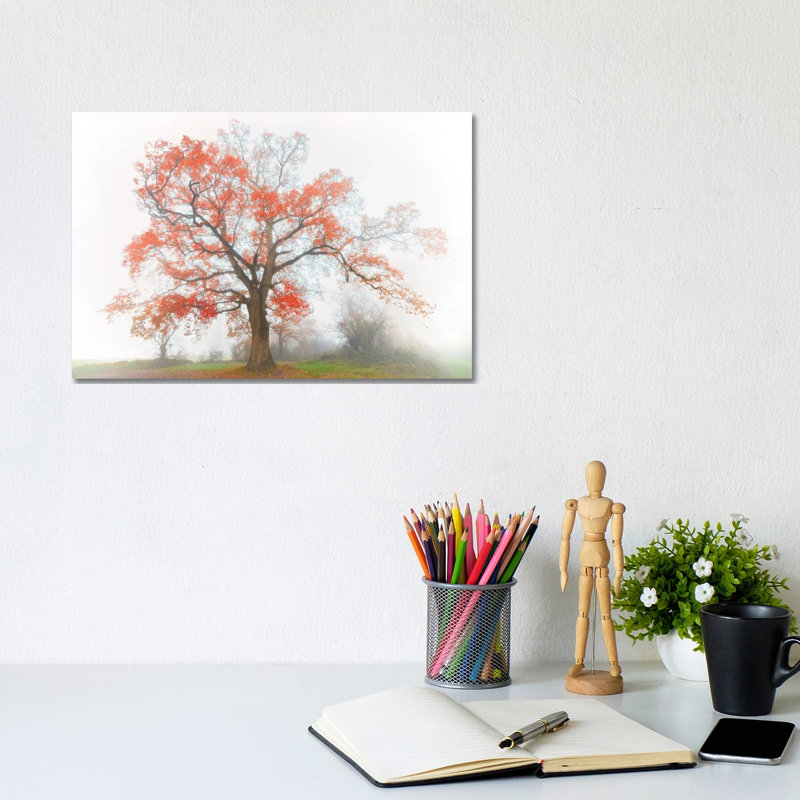 The Red Oak In The Myst by Philippe Manguin - Wrapped Canvas Print, 20.32 cm H x 30.48 cm W