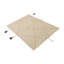 Tapis ivoire Petrella
