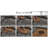 EZ-Floor 12'' L x 12'' W Wood Interlocking Deck Tile in Oiled