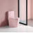 1.1/1.60 GPF Dual-Flush One Piece Toilet, Water-Saving Elongated Comfort Height Floor Mounted, Soft Closing Seat, 1000 Gram Map Flushing Score Toilet-122371714