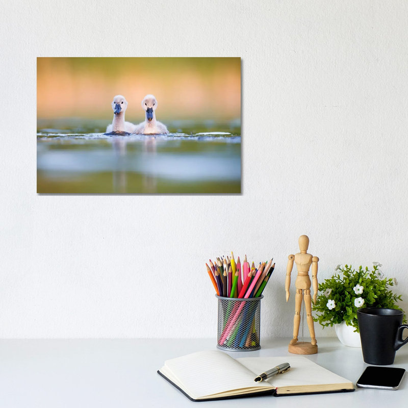 Brothers 1 Piece Wrapped Canvas Wall Art, 20.32cm H x 30.48cm W x 1.905cm D