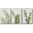 " Botanical Wash I " 3 Piece Art Oil Set-97758417-97758418