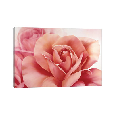 Pink Rose II by Yvonne Poelstra-Holzhaus - Wrapped Canvas Panoramic Painting