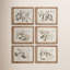 «Maplewood Fruit Bearing Branch», ensemble de 6 reproductions d'art sur papier encadrées