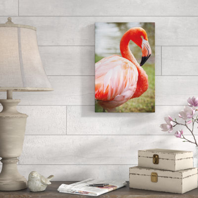 Flamingo I by Debra Van Swearingen - Wrapped Canvas Print