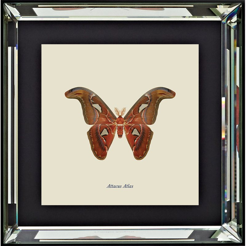Single Picture Frame Print on Wood