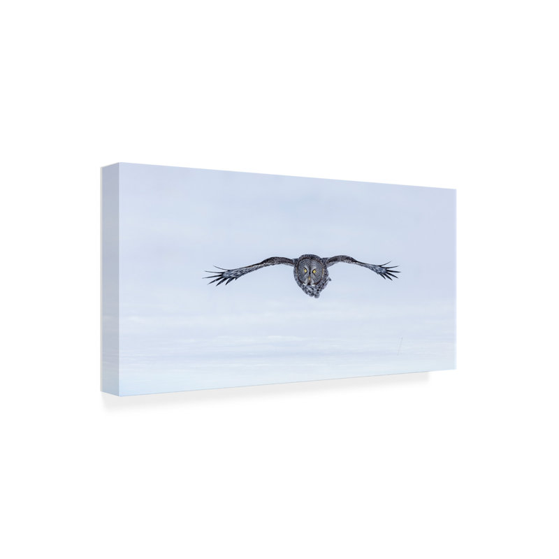«Great Grey Owl in Flight» par Jun Zuo - impression sur toile tendue, H 24 po x l 47 po x P 2 po