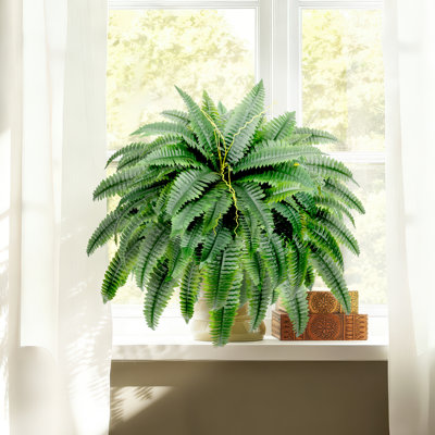 Ensemble de 2 plantes en pot 45 po 