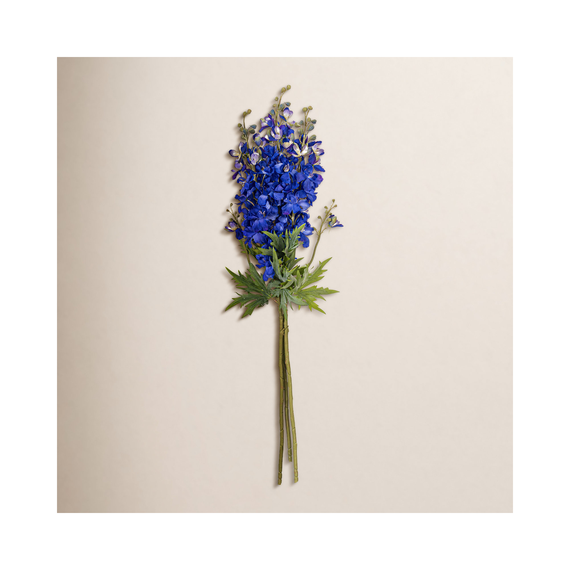 Stem, Cobalt 