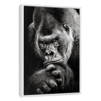 Gorilla Portrait