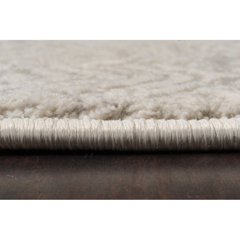 Shaniya Abstract Indoor Rug, Rectangle 2' x 3'11"