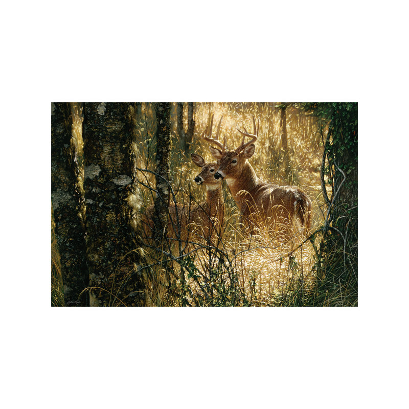 A Golden Moment - Whitetail Deer by Collin Bogle - Wrapped Canvas Painting, 101.6 cm H x 66.04 cm W x 1.91 cm D