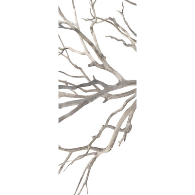 Enfolding Boughs II Print by David Brown