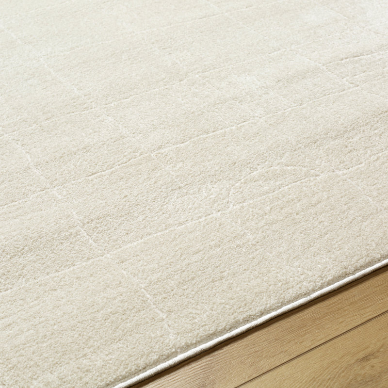 Aviyana Indoor Rug, Rectangle 7'10" x 10'