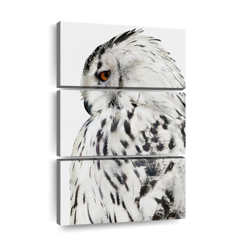 Chouette effraie blanche sur toile, 3 pièces, H 38 po x l 24 po