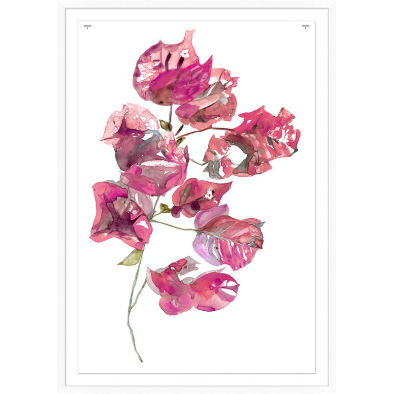 «Pink Bougainvillea 2» par Nathan Turner - Shadowbox, peinture sur papier