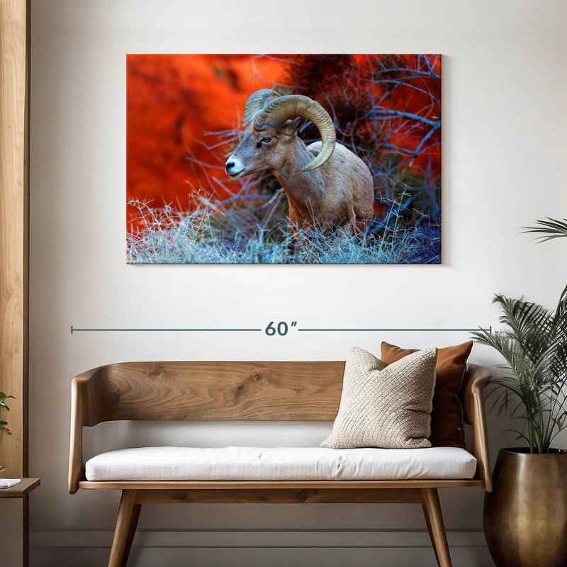 Brampt Bighorn Sheep Ram, 30" H x 45" W