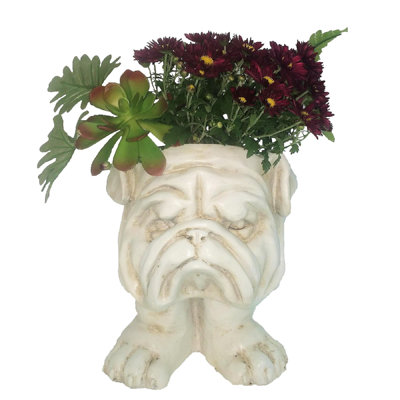 Muggly's Bulldog Mascot Animal Statue Planter