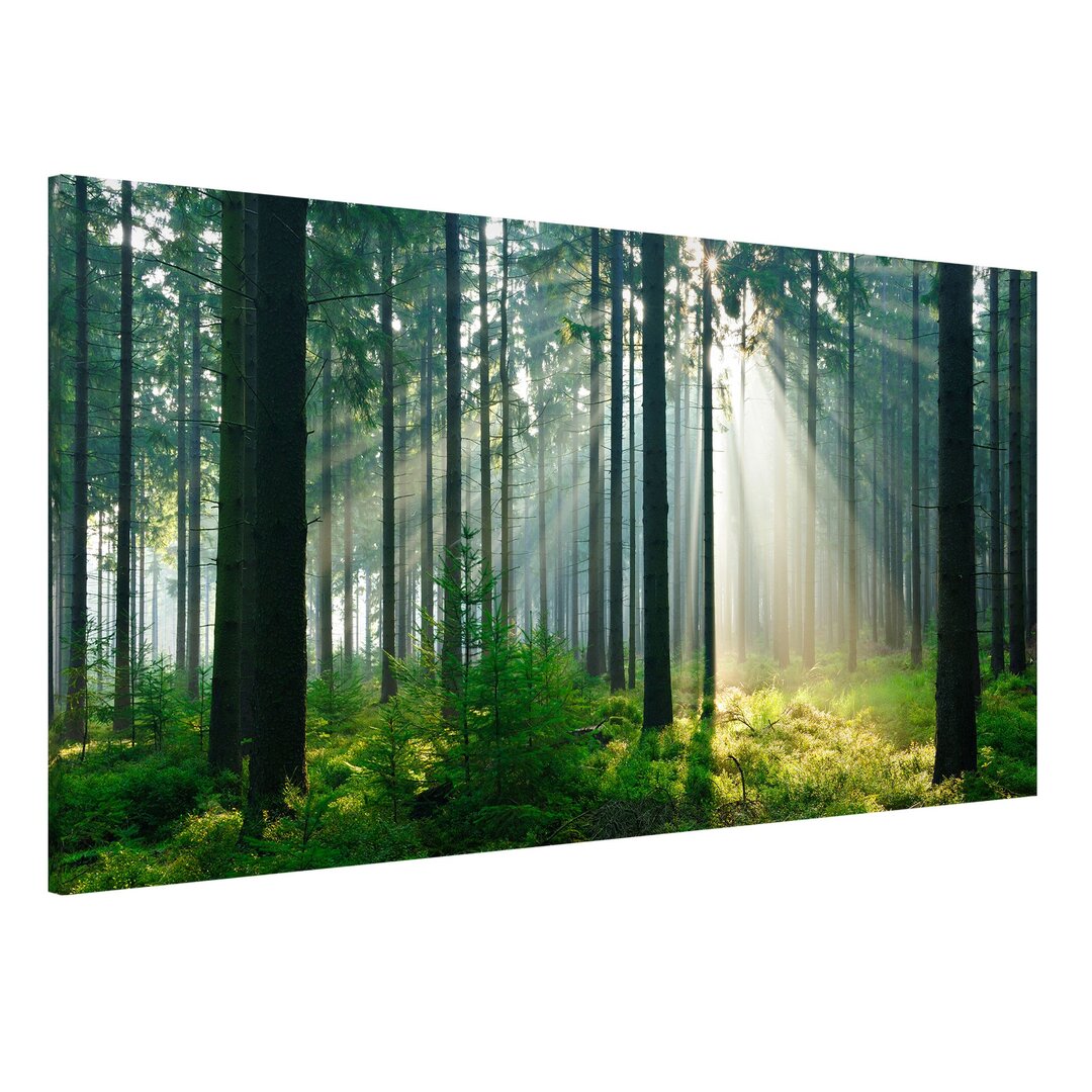 Magnettafel Erleuchteter Wald