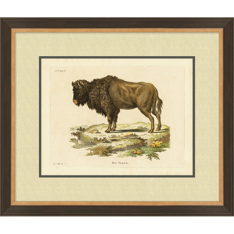 Bison 2 Print