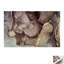 Print on Canvas-1165966632-1165966639