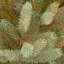 The Holiday Aisle® Norway Fir Tree-1320963323