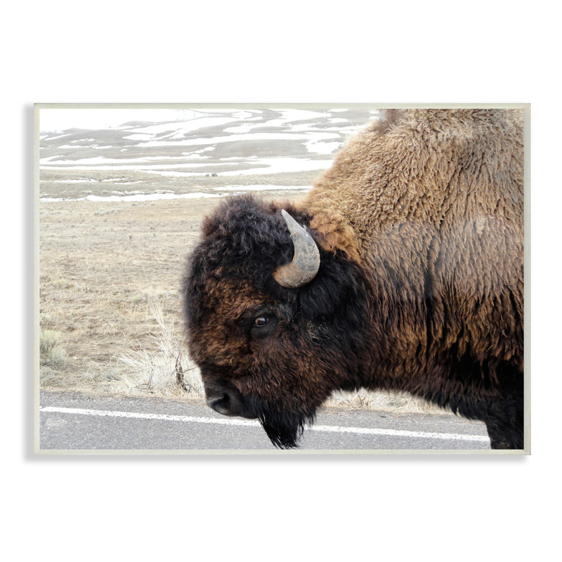 " Beautiful Buffalo ", 10" H x 15" W, Wall Plaque