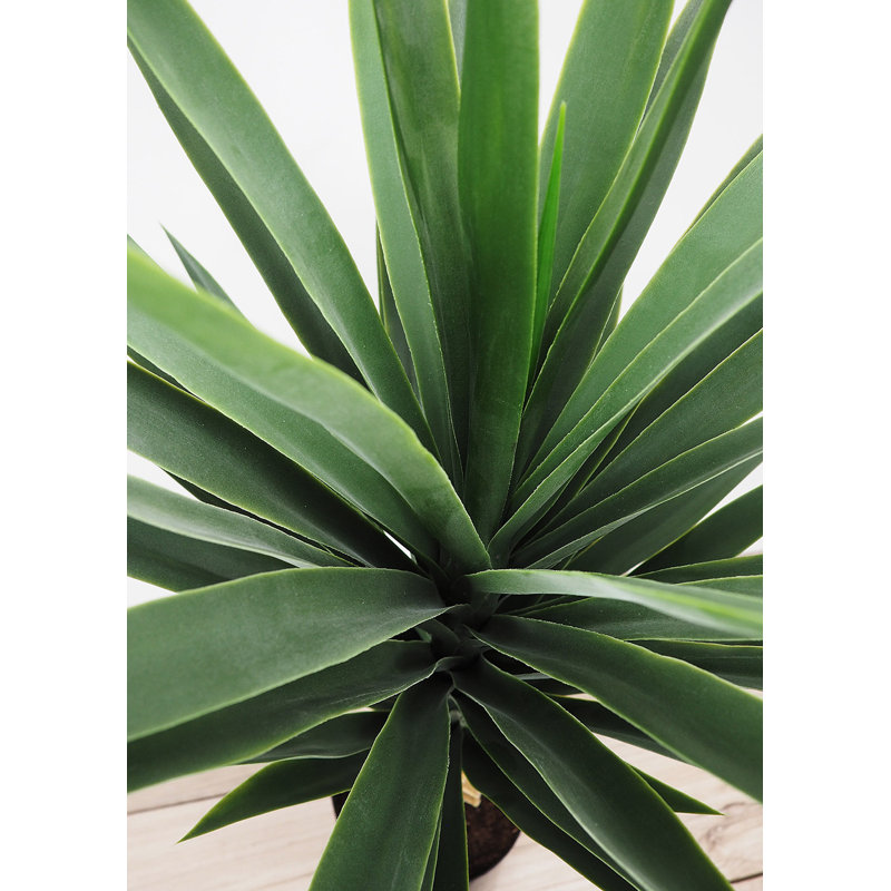 Faux yucca botanique au fini vert, H 36 po x l 20 po x P 20 po
